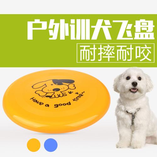 如何训练泰迪接飞盘