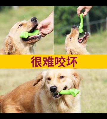 狗狗磨牙的东西