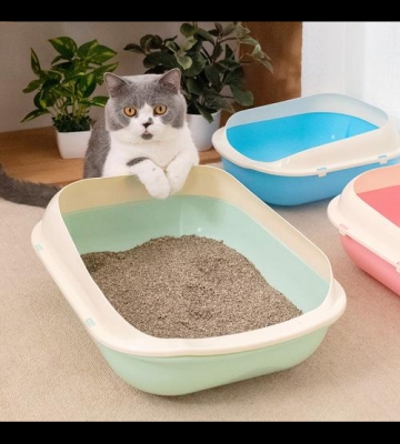 怎么训练小猫用猫砂