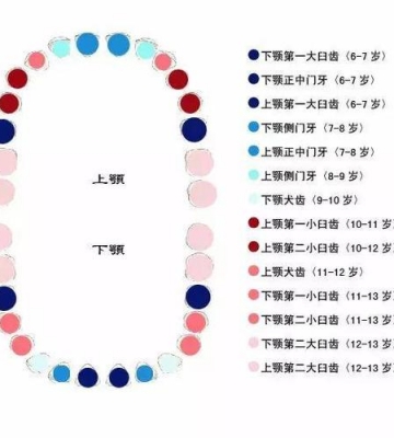 孩子乳牙怎么保存