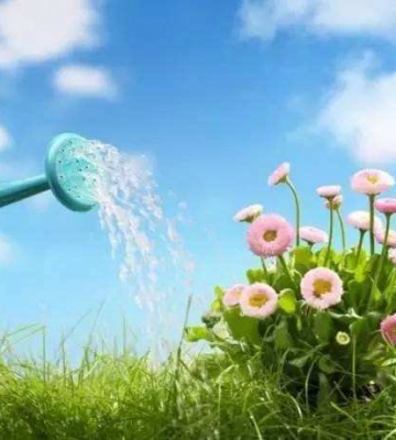 夏天花草浇水注意事项