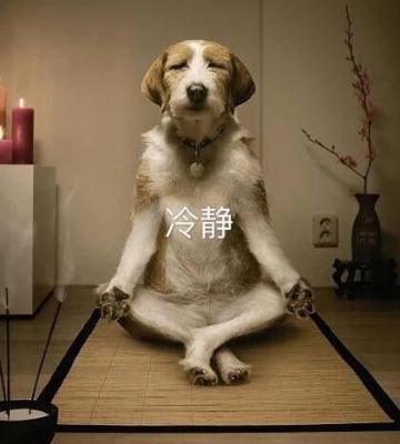 狗狗训练冷静