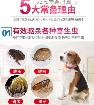 狗狗长虱子它用过的东西怎么消毒