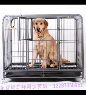 如何在笼子里训练幼犬
