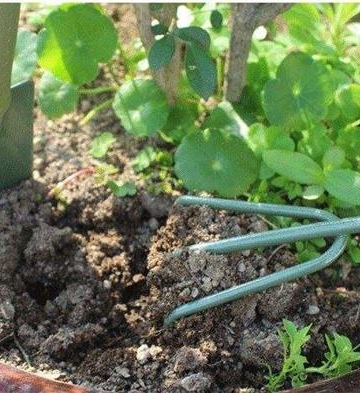 给栽培植物松土有利于植物生长