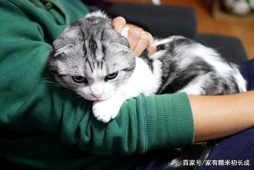 什么东西粘人