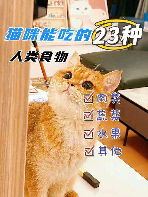 小猫的东西怎么办呢