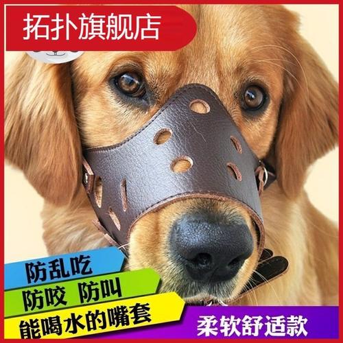 狗狗乱咬东西把嘴绑上