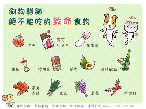 狗狗能吃的东西清单