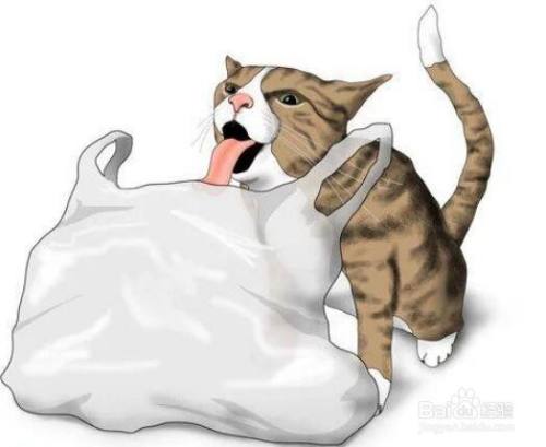 小猫吃了硬东西怎么办