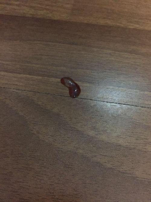 幼猫 拉稀 不吃东西