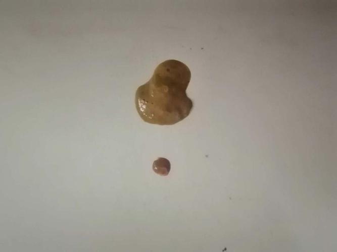 狗狗拉稀带吃的东西
