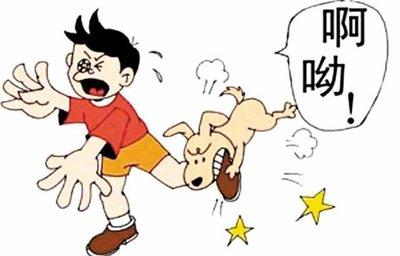 狗爱咬什么东西怎么办