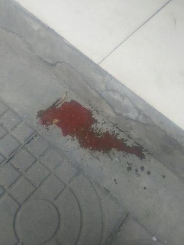狗吃完打虫药上吐下泻还不吃东西