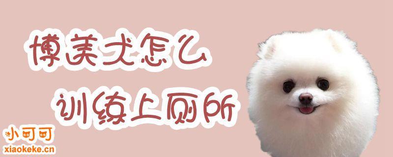 博美狗怎么训练上厕所