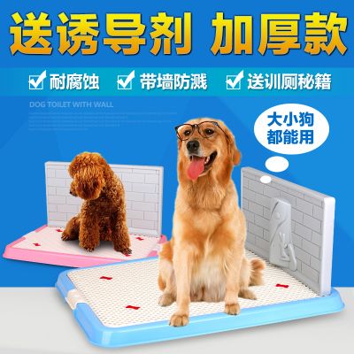 训练狗狗使用马桶