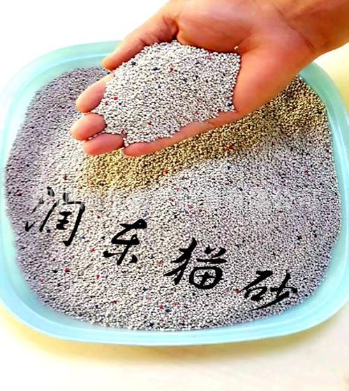 猫砂训练