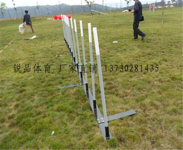 训练狗基础箱