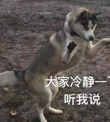 训练狗狗冷静