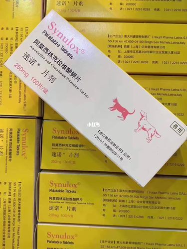猫咪腿部了用什么药好