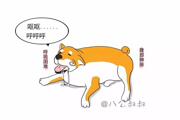 狗狗胃扭转有什么状况