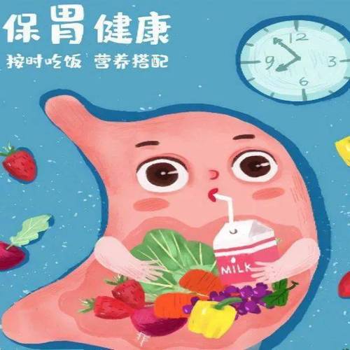 如何保护胃部健康