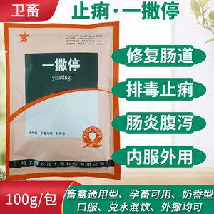 如何快速止痢
