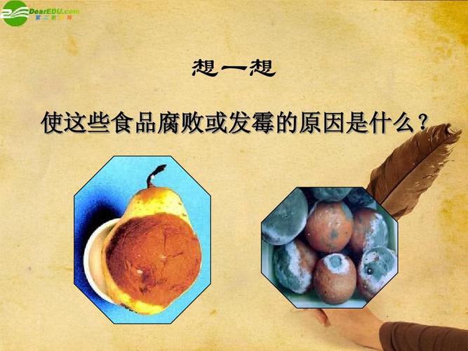 如何避免食品腐败
