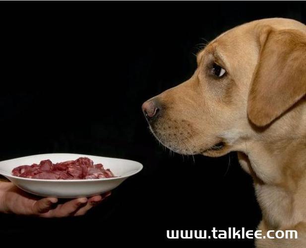 狗狗吃生肉了吃什么药