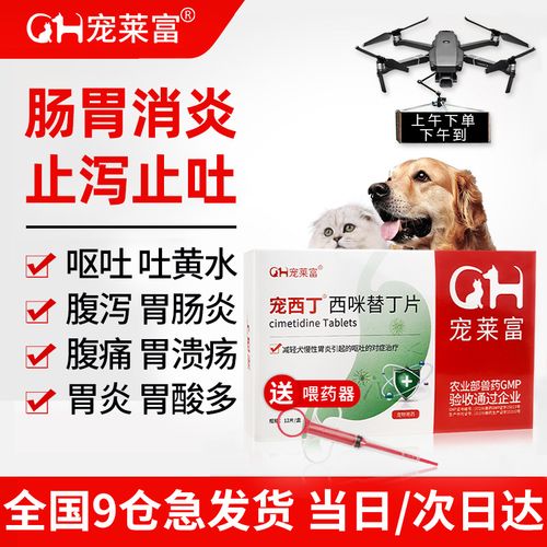 狗狗吐可以喂什么药