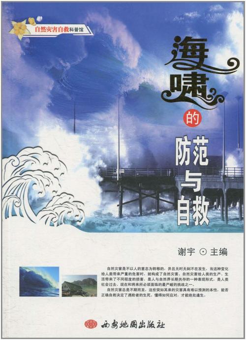 如何应对海啸