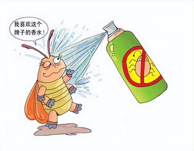 如何避免虫害侵扰