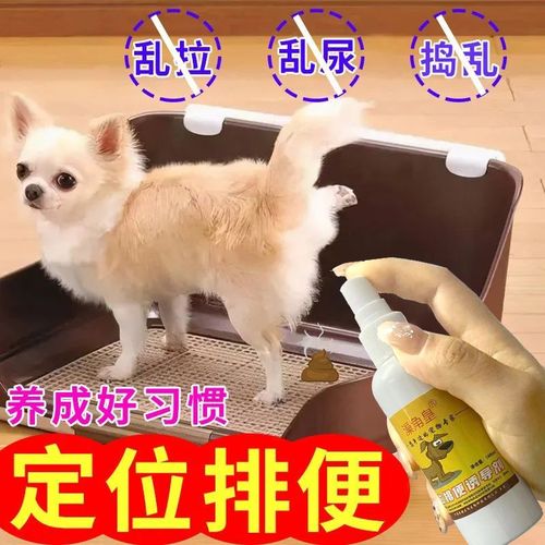 狗狗尿腺发炎用什么清洗