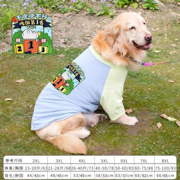 金毛的胸围怎么量