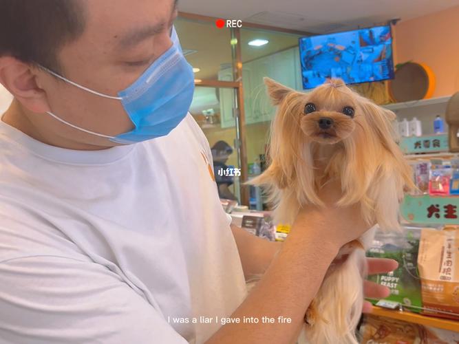 宠物店员工开始干什么