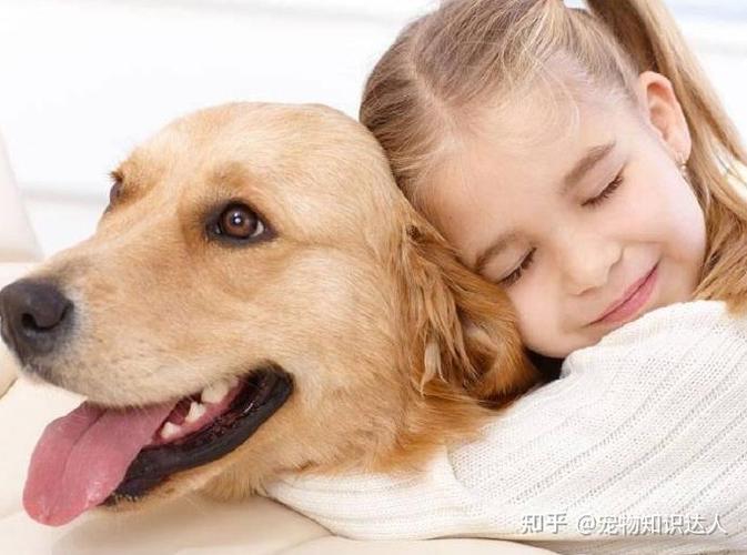 为什么家人反对养狗狗