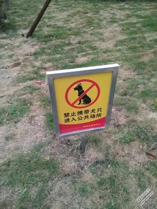 禁止狗狗进入什么地方