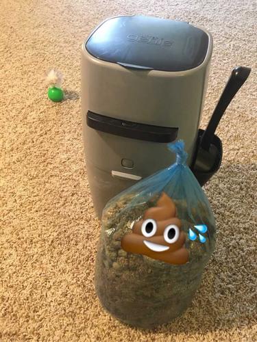 扣扣宠物怎么清理粑粑