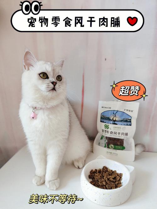 宠物猫咪可以吃什么肉好