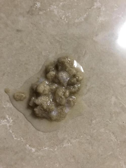 狗狗吐了是怎么了