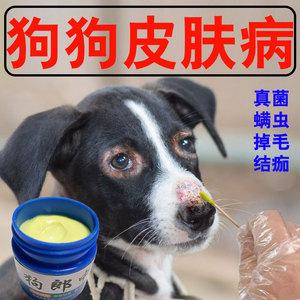 给狗狗治皮屑什么药好