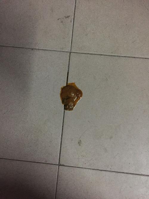 狗狗为什么拉白色粗大便