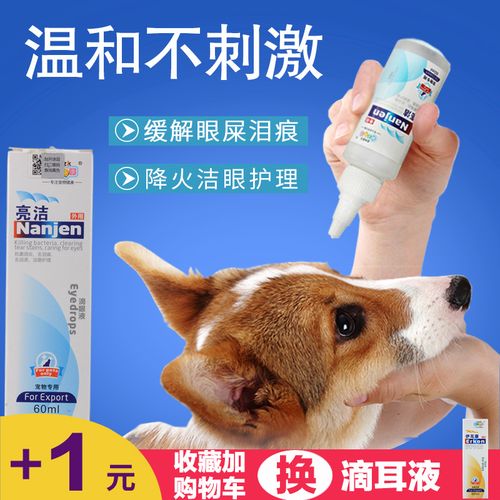 宠物狗用什么眼药