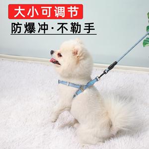 小狗不带牵引绳怎么办