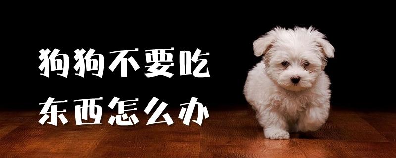 小狗病了不吃食怎么办