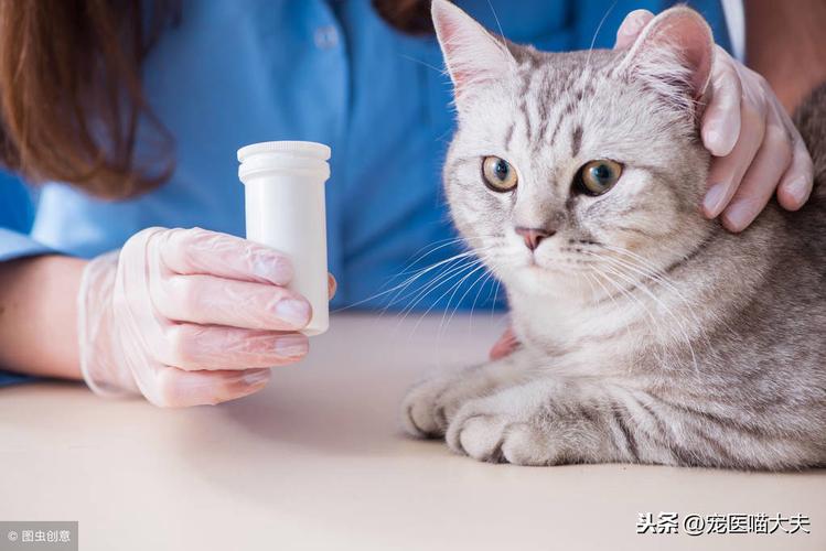 猫咪有时咳嗽怎么回事