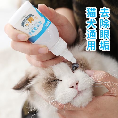 猫咪长眼屎用什么药好