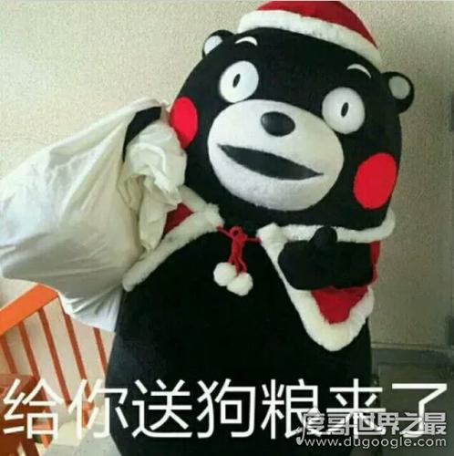 狗粮梗什么意思