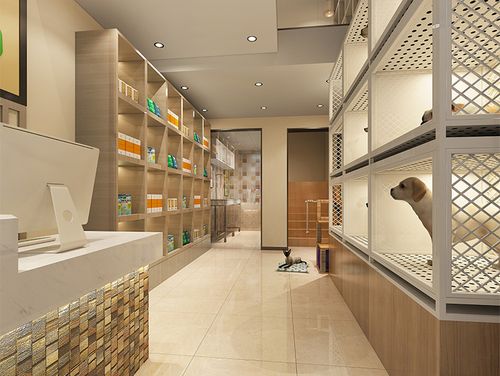 宠物店用什么灯光比较好