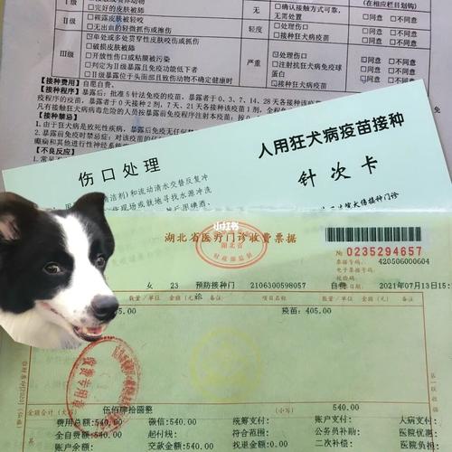 防犬疫苗要注意什么区别